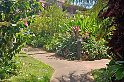 Kihei Bay Vista D-205