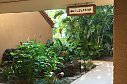 Maui Vista 1 bedroom