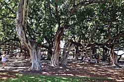 Maui Eldorado 1 Bdrm, 2 Baths