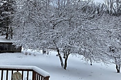 Waiohuli Beach Hale B105