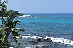 Banyan Tree Penthouse #402