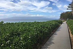 Maui Kaanapali Villas A403