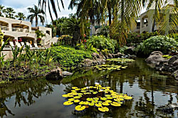 Palms at Wailea Unit #206