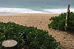 Maui Kaanapali Villas D277