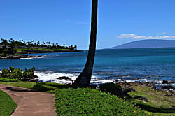 Napili Point Resort # A4