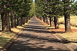 Napili Point Resort # A4