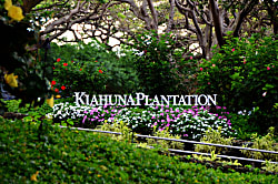 Kiahuna Plantation #25 (building 6)