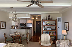 The Whaler Unit #313