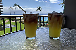 The Whaler Unit #313