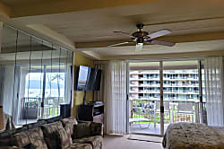 The Whaler Unit #313