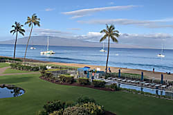 The Whaler Unit #313