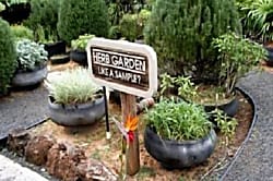 Pono Kai Oceanfront Condo Kapaa