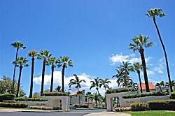 Palms at Wailea 503