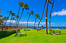 Sugar Beach Resort 1 Bedroom Condo