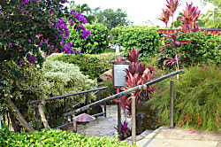 Hanalei Bay Resort Studio