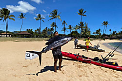 Kiahuna Plantation #227 (building 35)