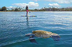 Ocean View in Kihei!