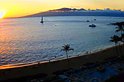 The Whaler Unit 1064