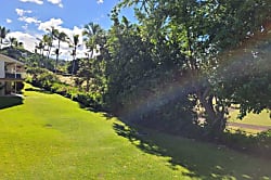 Keauhou Palena #1003