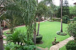 Kihei Bay Vista Rental