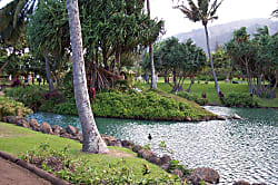 Kihei Bay Vista Rental