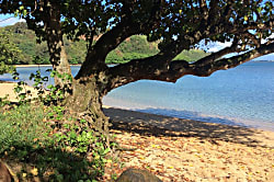Hale Kai Anini Beach Home