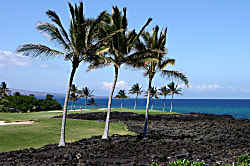 Halii Kai 12D Oceanfront Villa