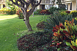 Kanai A Nalu 118 Beachfront Condo