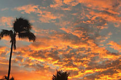 Maui Sunset A112