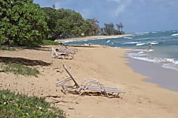 Islander On The Beach 244