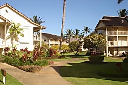 Islander On The Beach 244