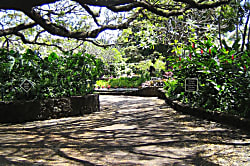 Kiahuna Plantation 232 (Building 36)