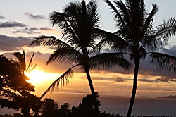 Maui Vista Complex 2nd Floor Garden View Condo