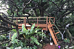 Echanted Grotto House