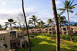 Palms at Wailea 902
