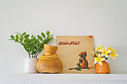 Grand Champions Condo