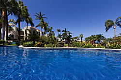 Palm at Wailea Unit #303