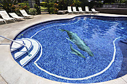 Kauhale Makai unit 425