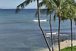 Maui Treetop Oceanfront Condo 