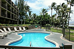 Maui Treetop Oceanfront Condo 