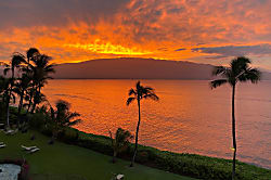 Maui Treetop Oceanfront Condo 