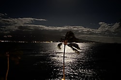 Maui Treetop Oceanfront Condo 