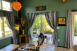 Starlit Skies of Kalapana