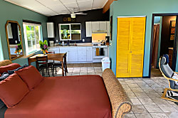 Starlit Skies of Kalapana