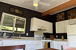 Starlit Skies of Kalapana