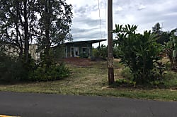 Starlit Skies of Kalapana