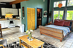 Starlit Skies of Kalapana