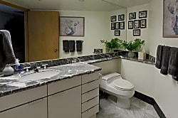 Waikiki Landmark #2504