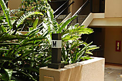 Kaanapali Royal M301