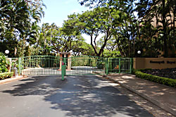 Kaanapali Royal M301